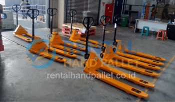 Rental Hand Pallet 3 Ton full